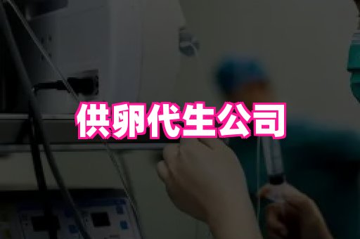 123试管孕网 3